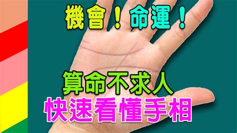 生命線帶眼|【算命不求人】快速看懂手相